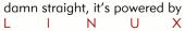 [Damn straight, it's powered by Linux!]